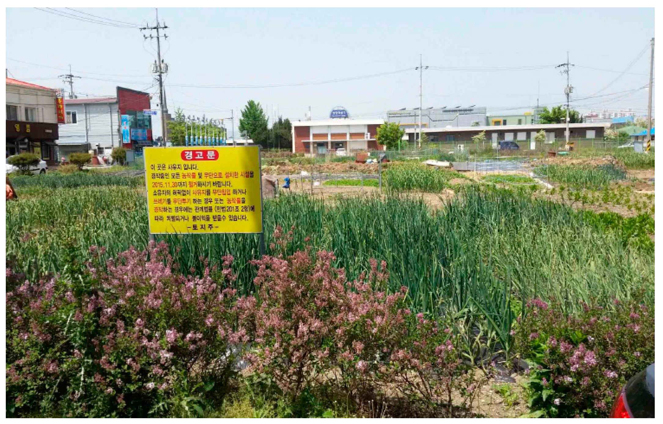 Sustainability 12 06621 g004 Sustainability 12 06621 g004