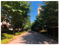 Sustainability 12 06722 i007