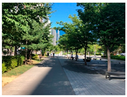 Sustainability 12 06722 i009