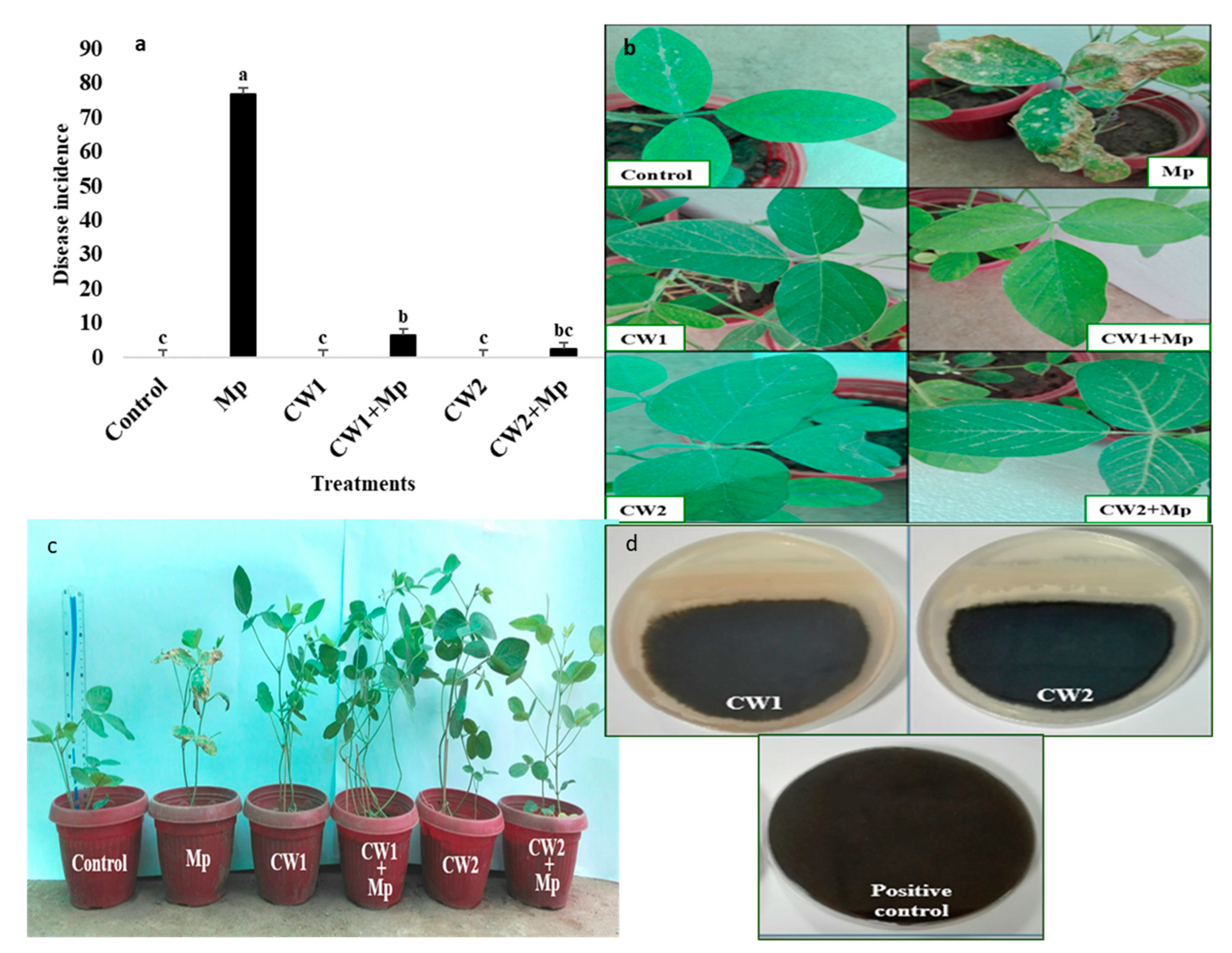 Sustainability 12 06856 g002