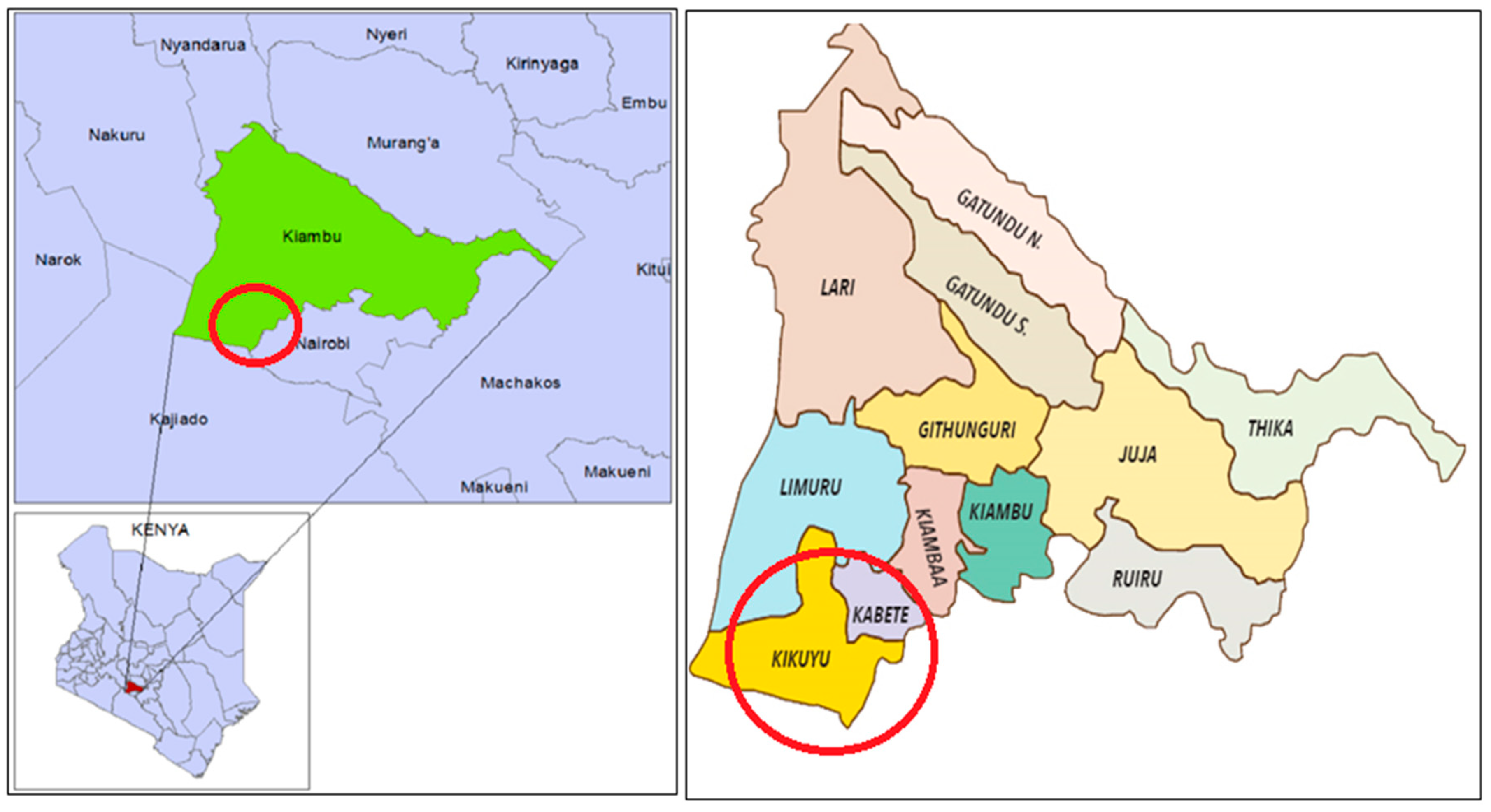 Sustainability 12 06883 g002 Sustainability 12 06883 g002