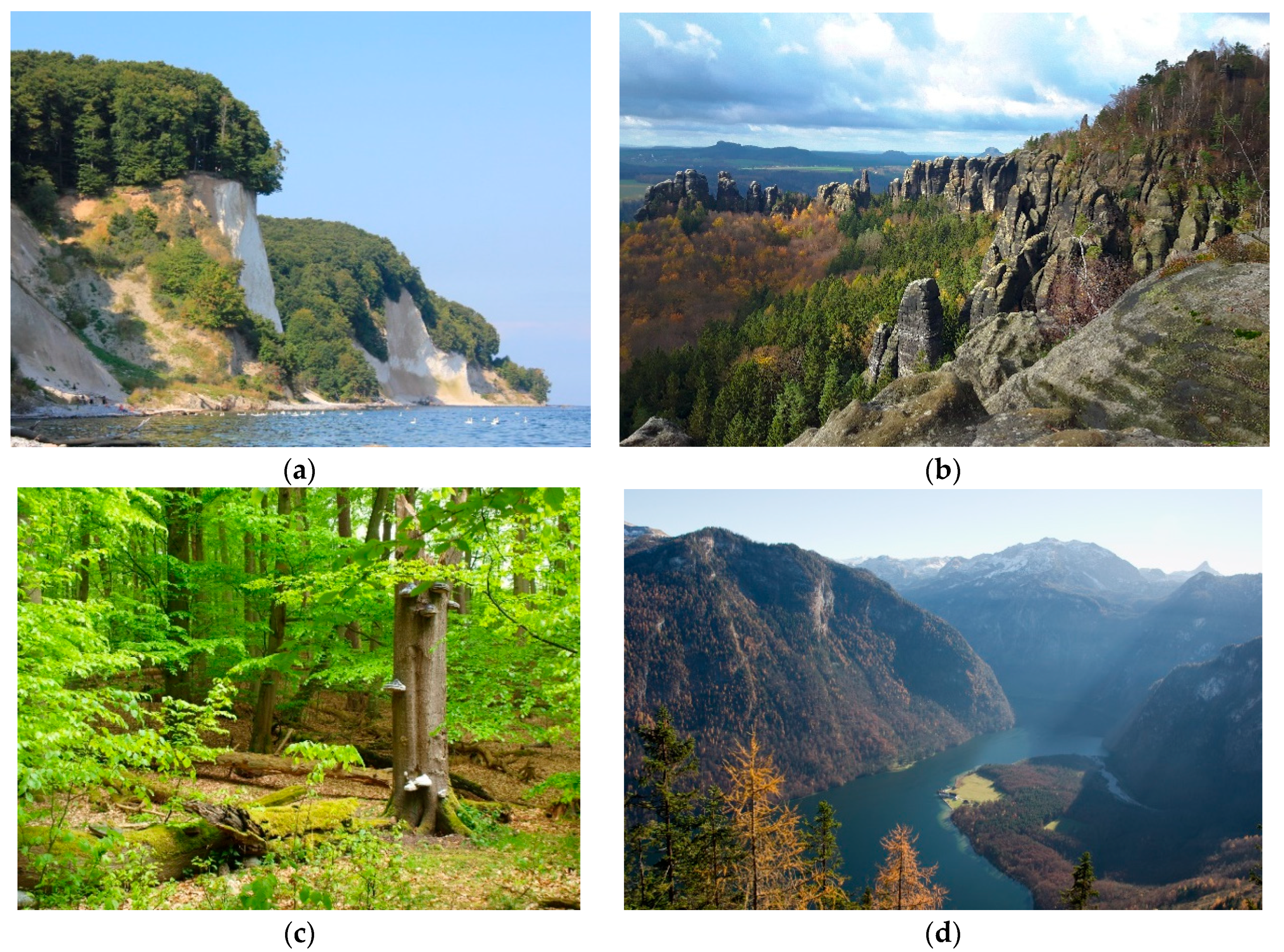 Sustainability Free Full Text Evaluation Of The Management Effectiveness Of German National Parks Experiences Results Lessons Learned And Future Prospects Html