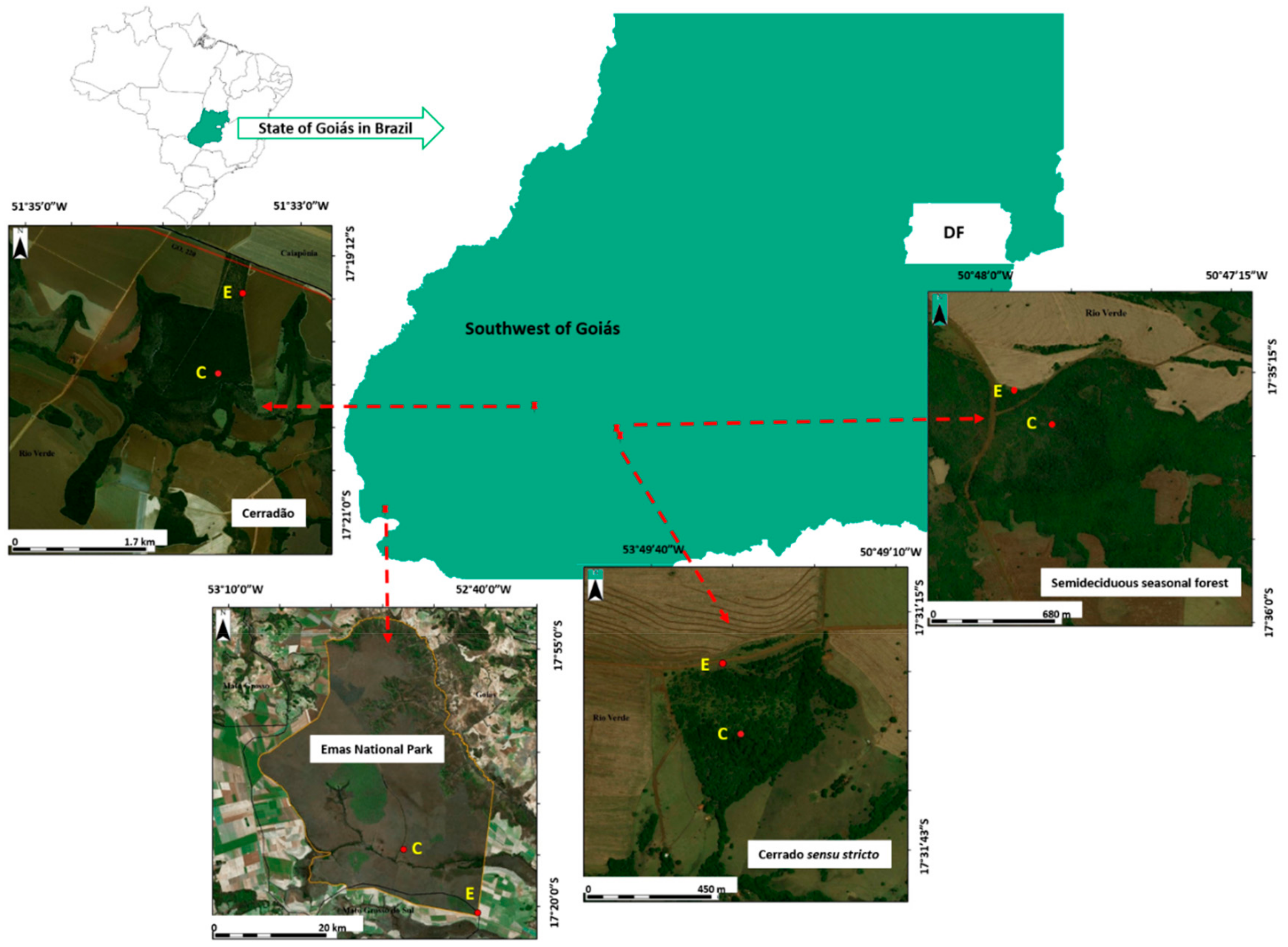 Sustainability | Free Full-Text | Edge Effects Reflect the Impact of the  Agricultural Matrix on the Corticolous Lichens Found in Fragments of  Cerrado Savanna in Central Brazil | HTML