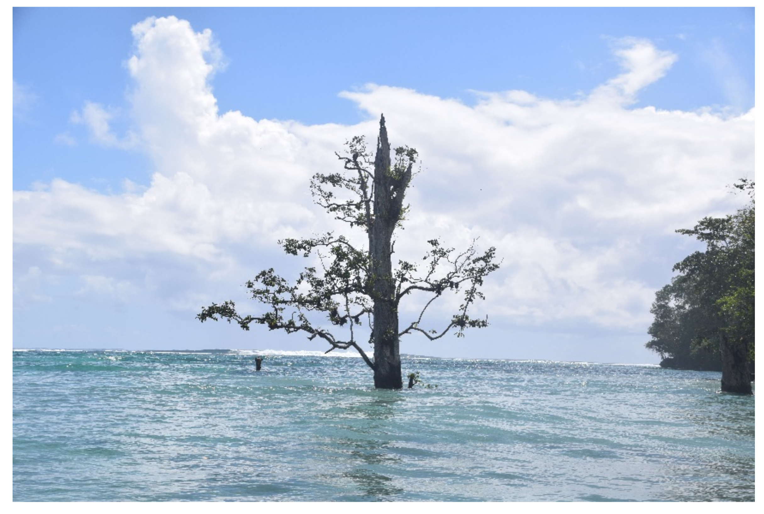 Sustainability | Free Full-Text | Sinking Islands, Drowned Logic; Climate  Change and Community-Based Adaptation Discourses in Solomon Islands | HTML