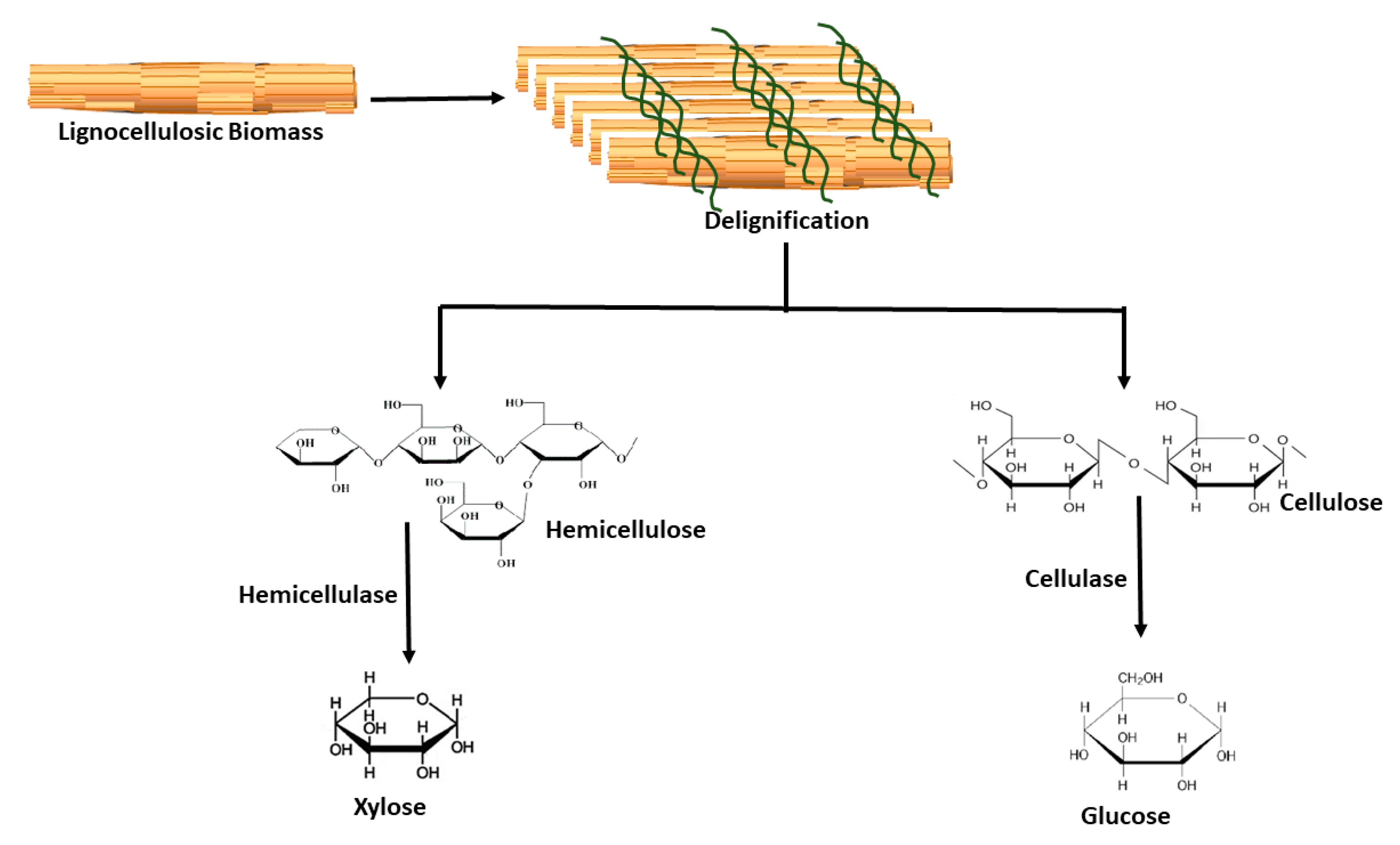 Sustainability 12 07282 g007