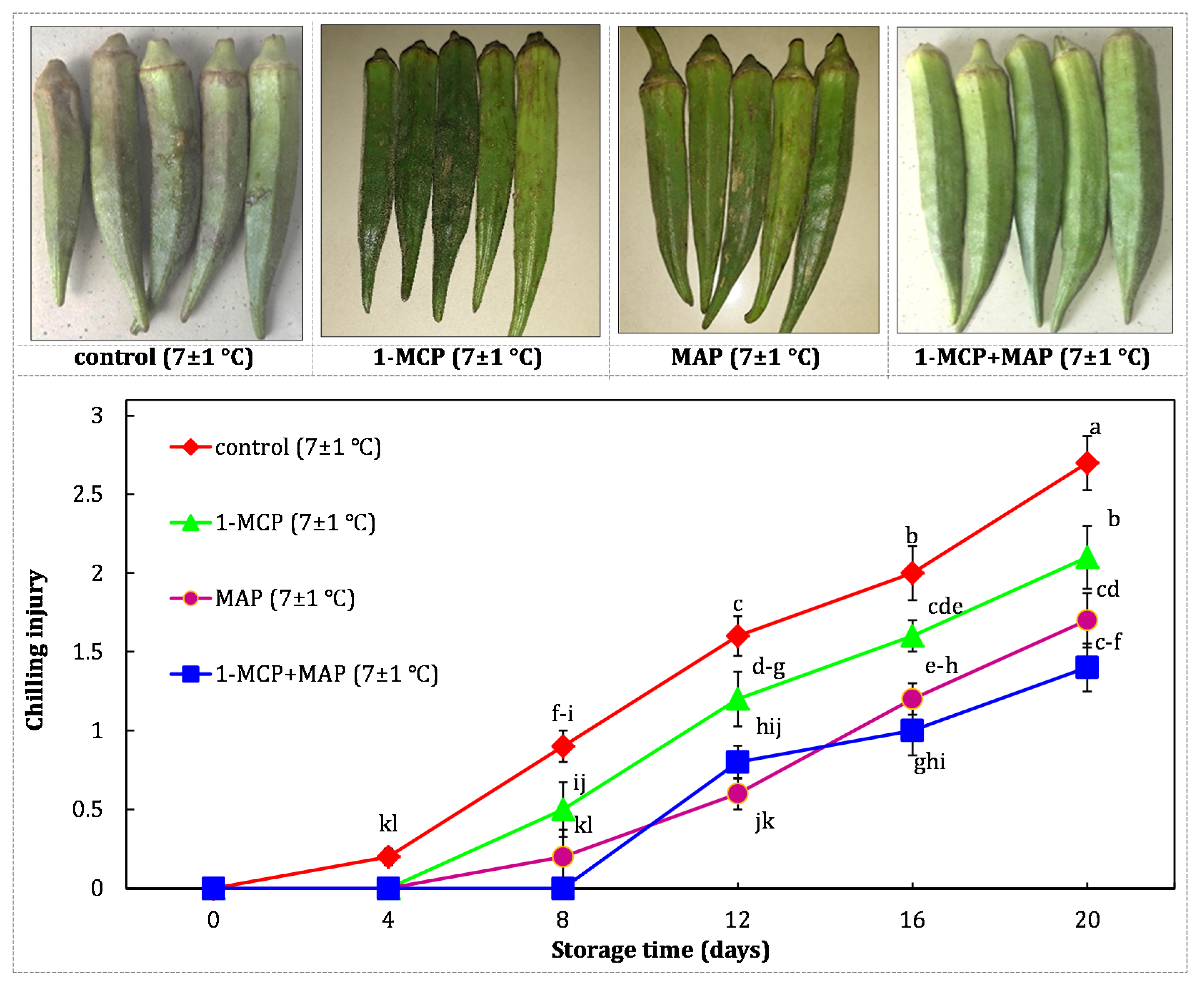 Sustainability 12 07547 g005