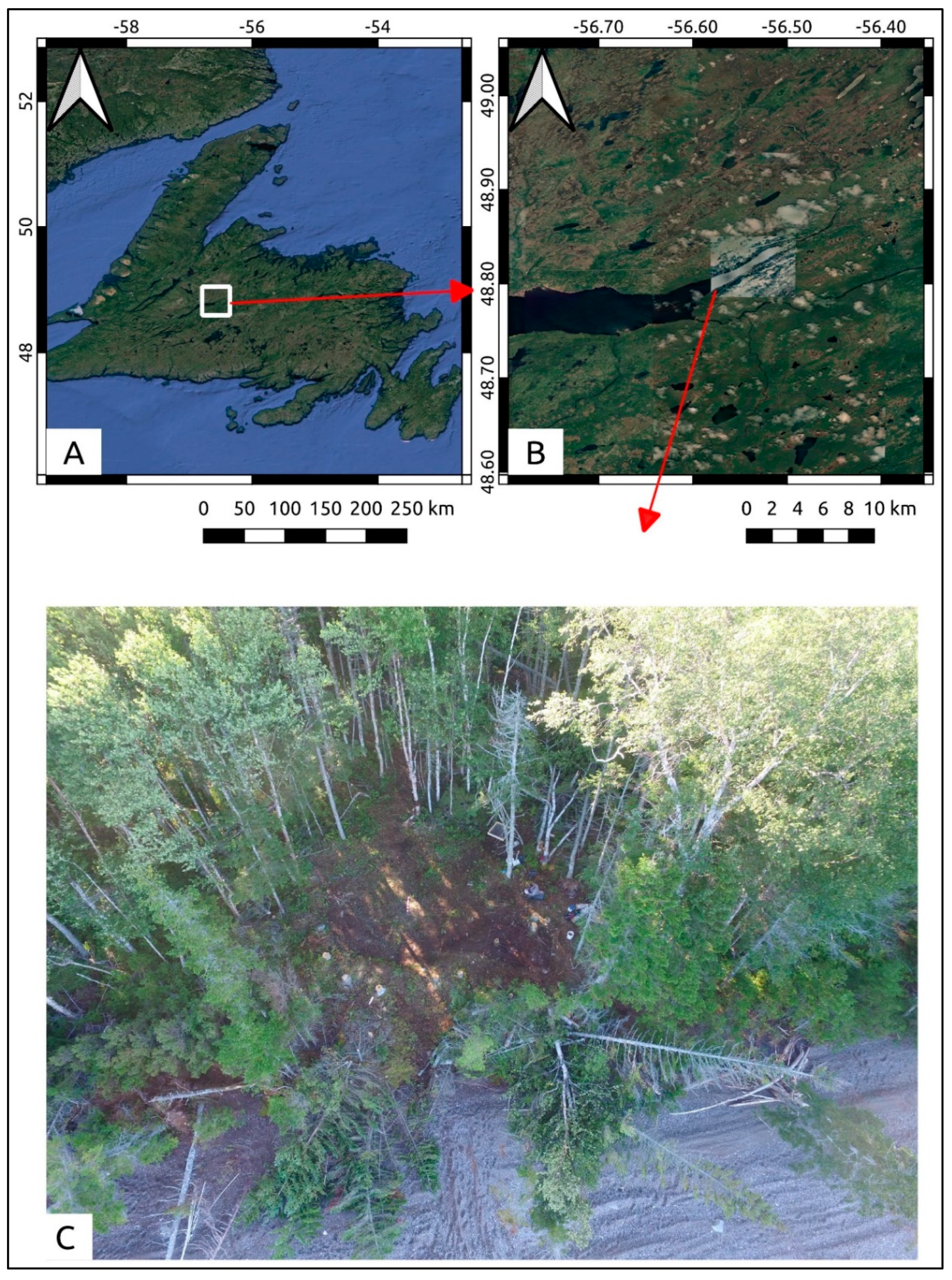 Sustainability 12 07555 g001 Sustainability 12 07555 g001