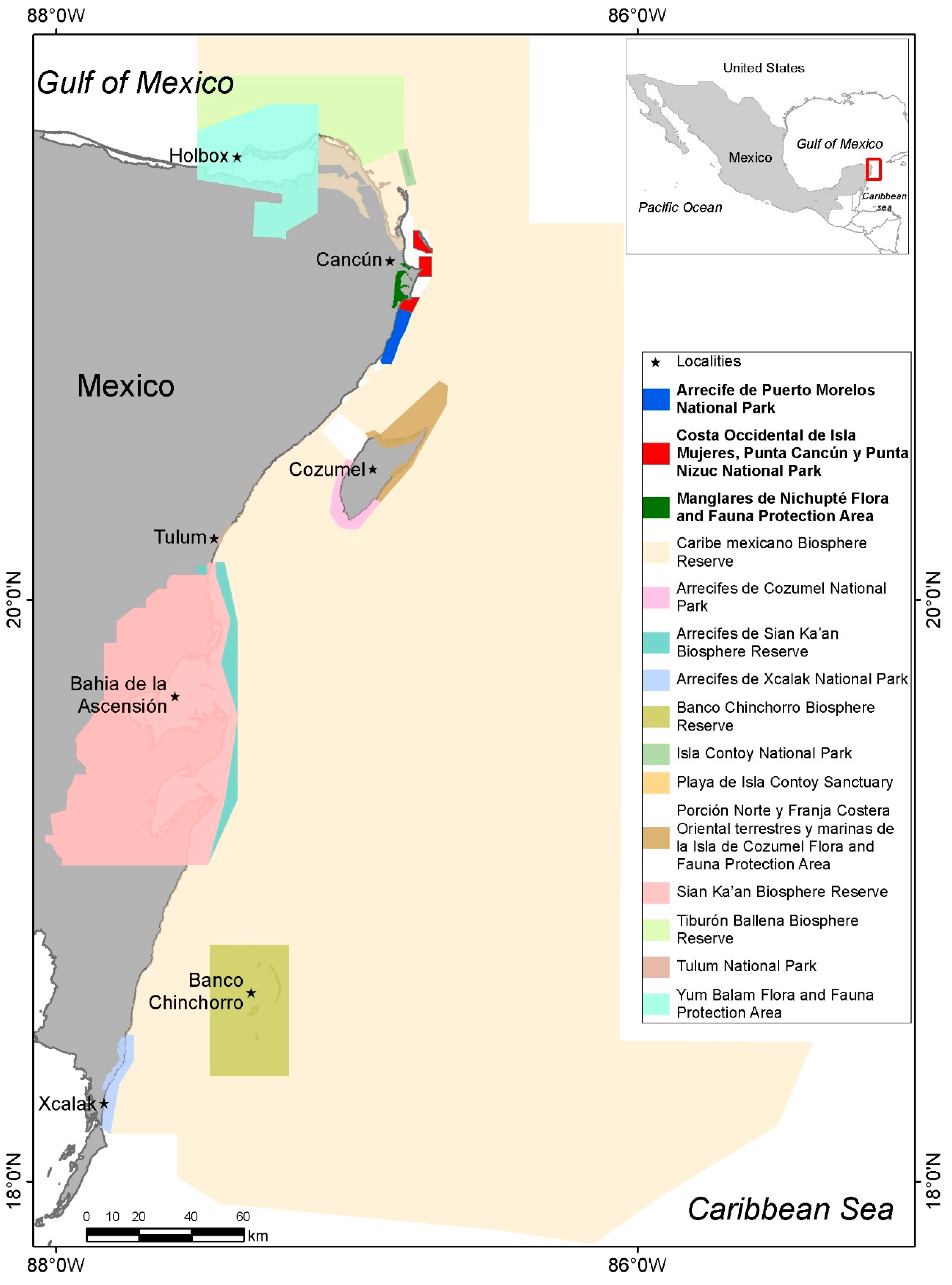 Sustainability | Free Full-Text | A New Long-Term Marine Biodiversity  Monitoring Program for the Knowledge and Management in Marine Protected  Areas of the Mexican Caribbean