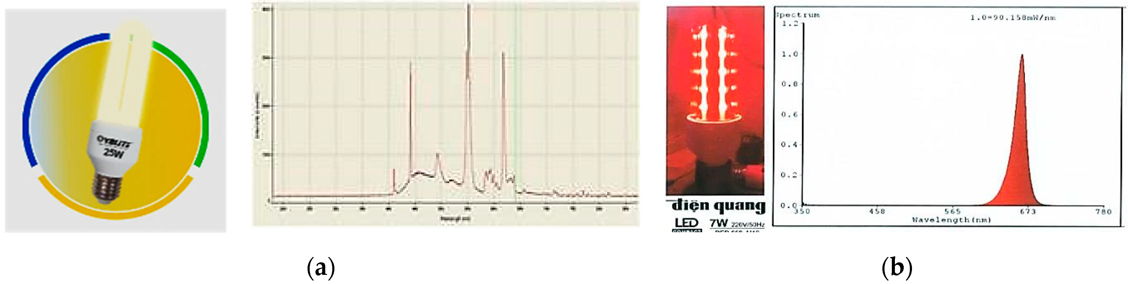 Sustainability 12 07969 g003