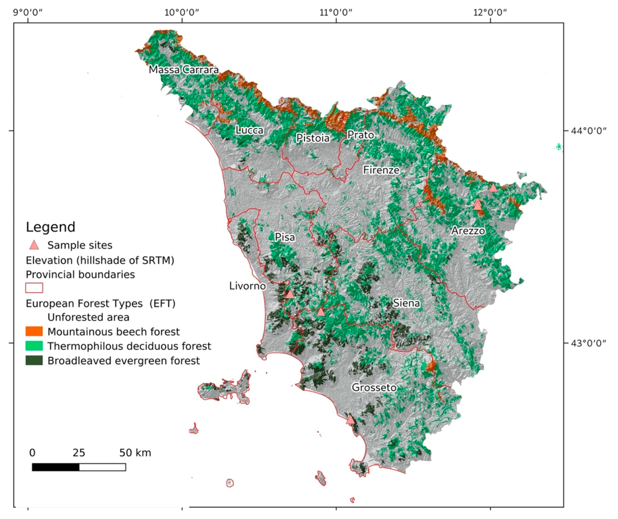 Sustainability Free Full Text Mapping The Recreational Value Of Coppices Management Systems In Tuscany Html