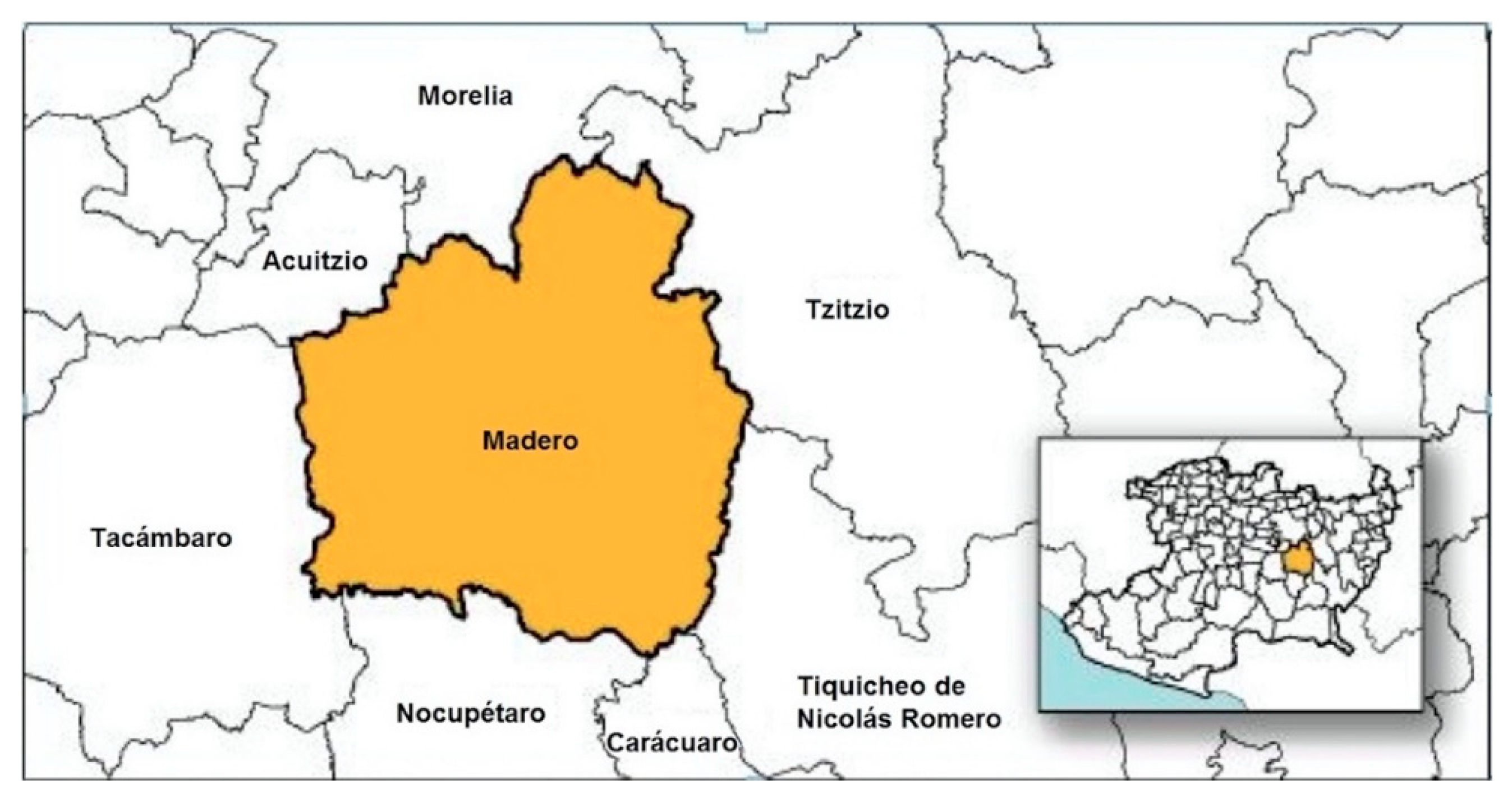 Sustainability 12 08242 g002