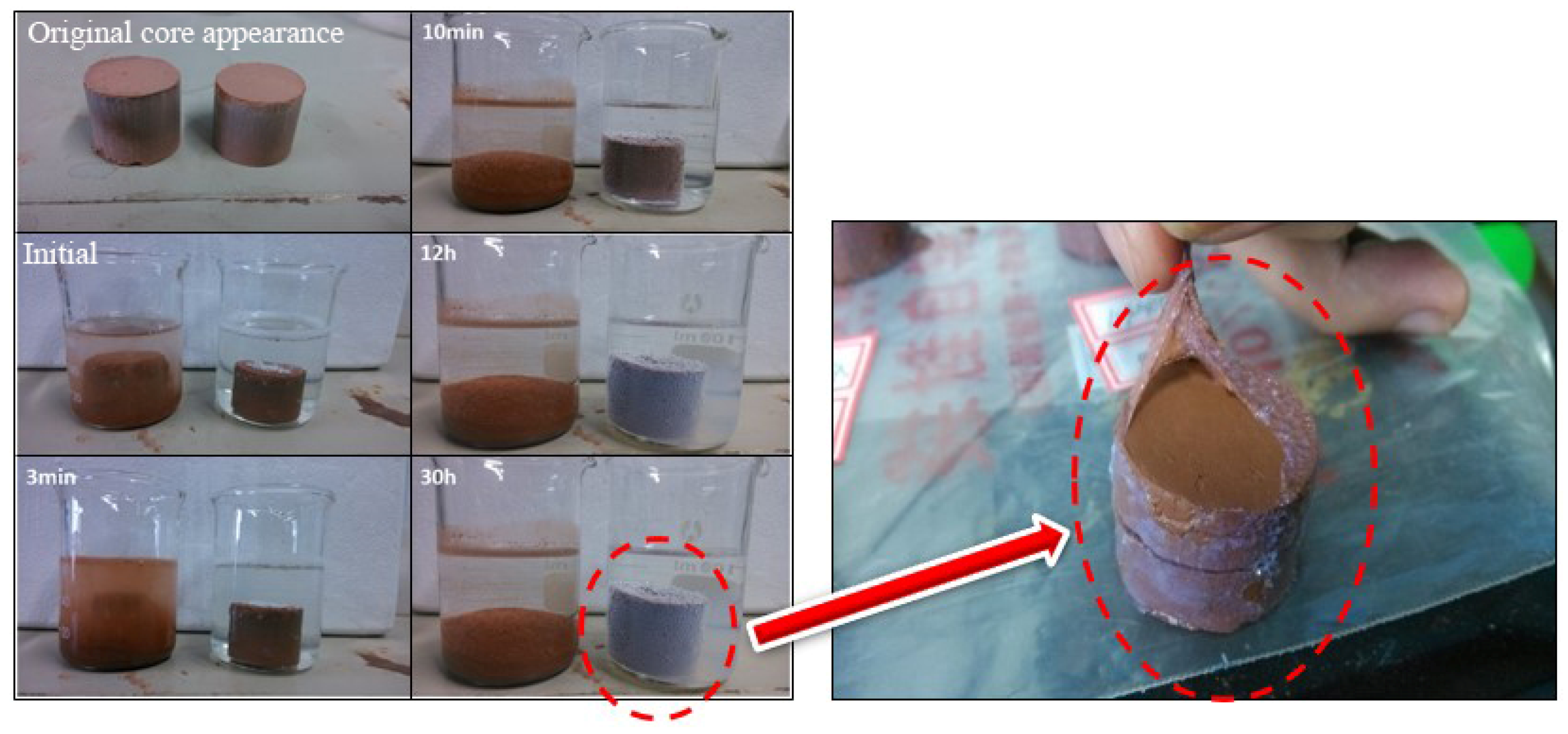 Sustainability 12 08387 g002