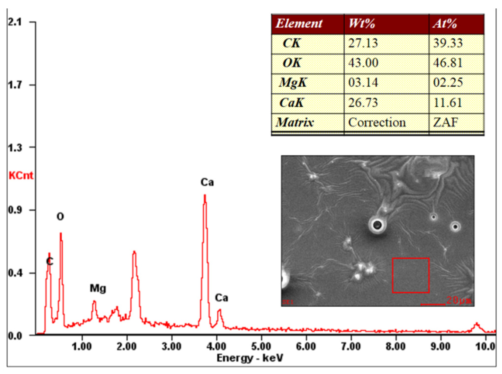 Sustainability 12 08387 g003