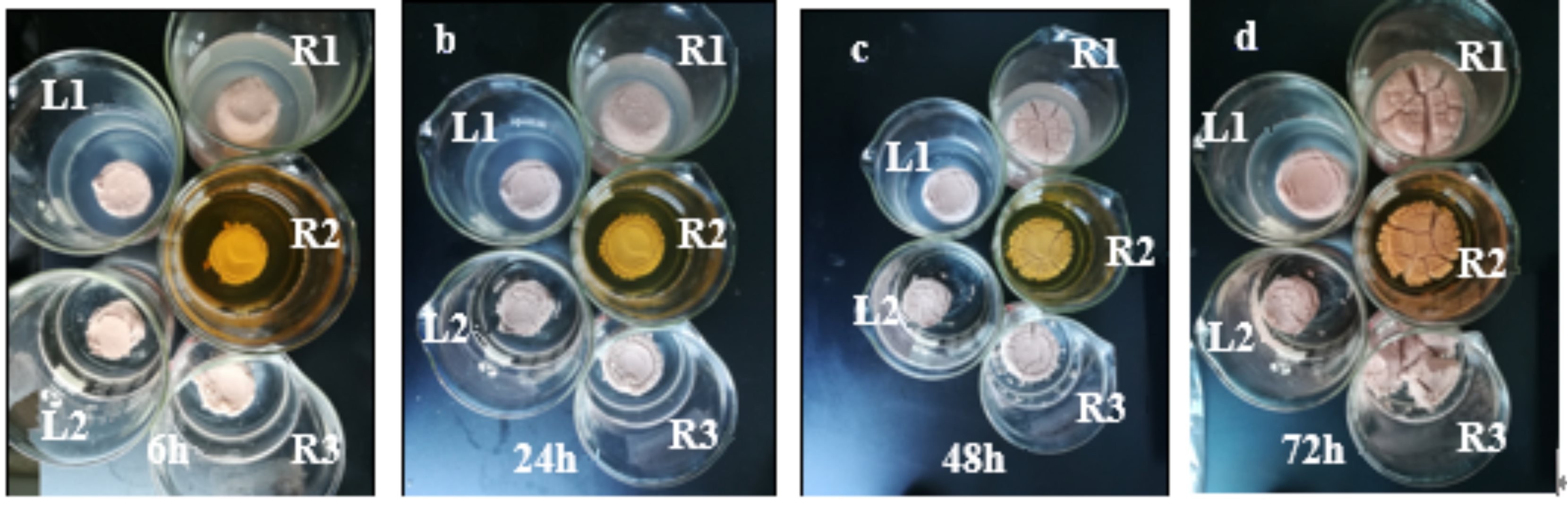 Sustainability 12 08387 g004