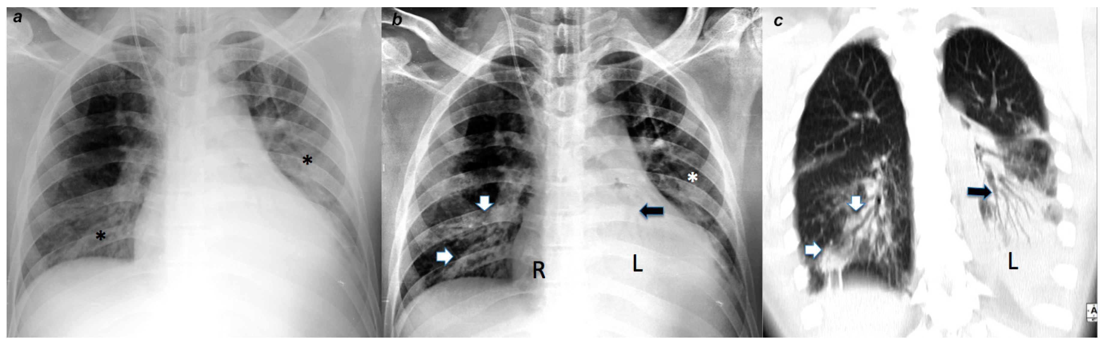 Sustainability 12 08573 g0a1 Sustainability 12 08573 g0a1
