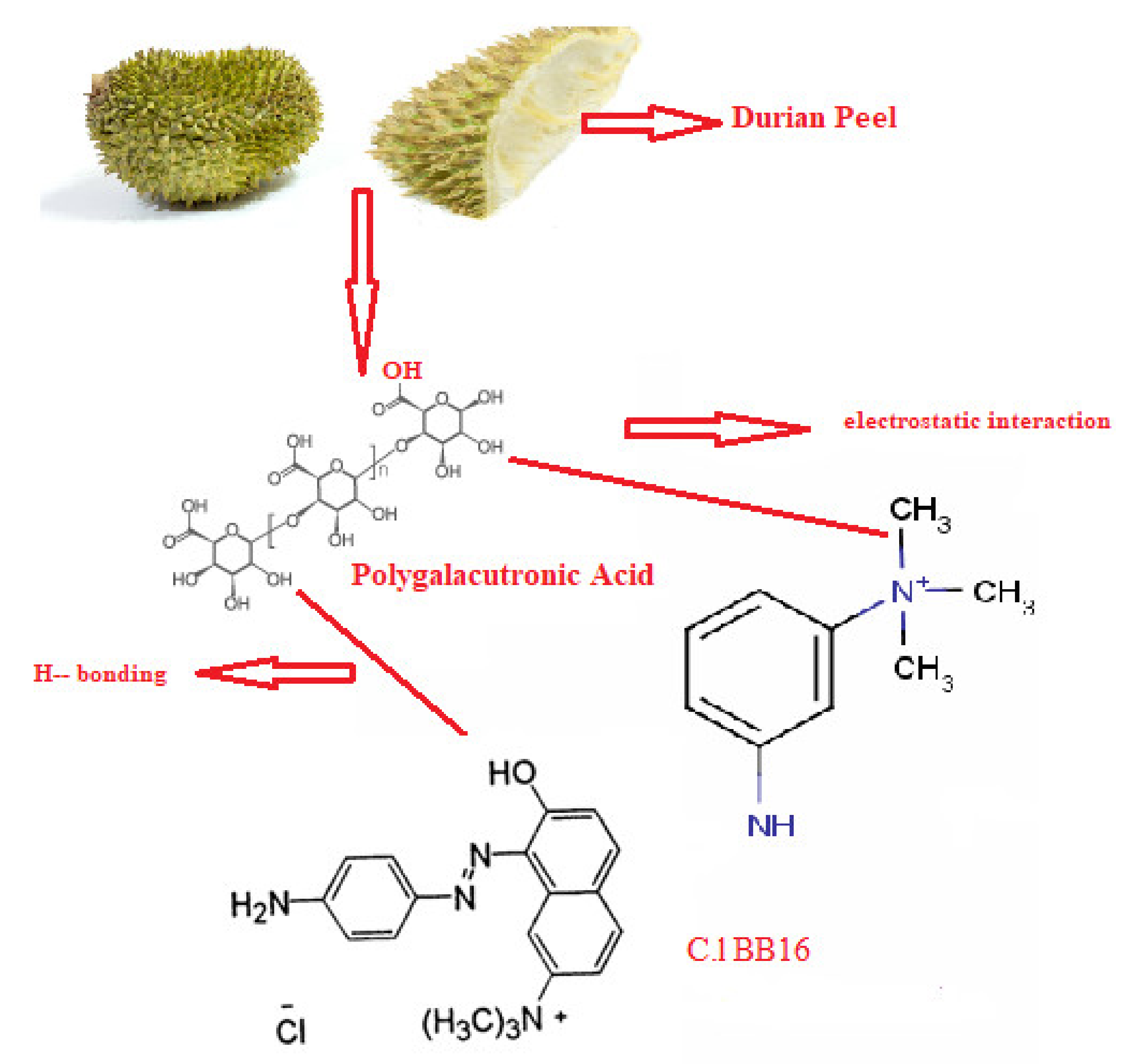 Sustainability 12 08928 g007 Sustainability 12 08928 g007