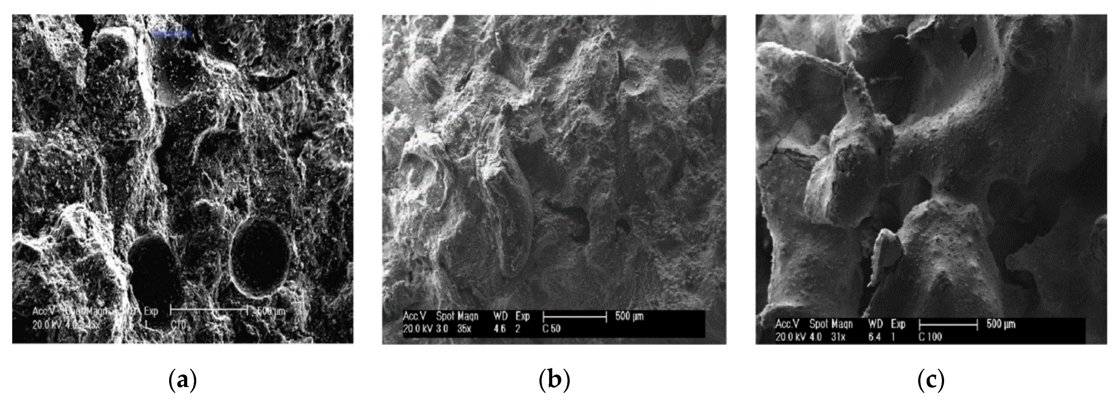 Sustainability 12 09060 g011 Sustainability 12 09060 g011