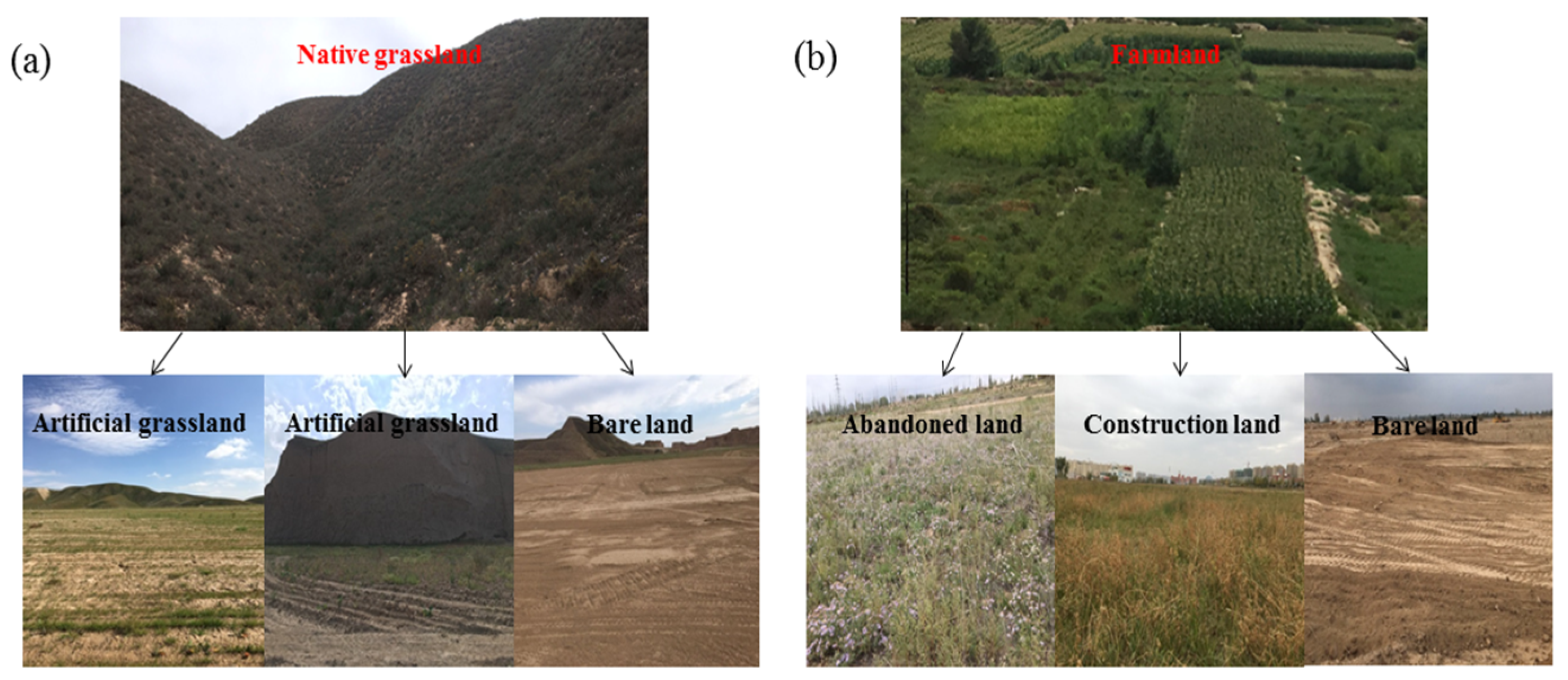 Sustainability | Free Full-Text | Impact of Rapid and Intensive Land Use/Land  Cover Change on Soil Properties in Arid Regions: A Case Study of Lanzhou  New Area, China