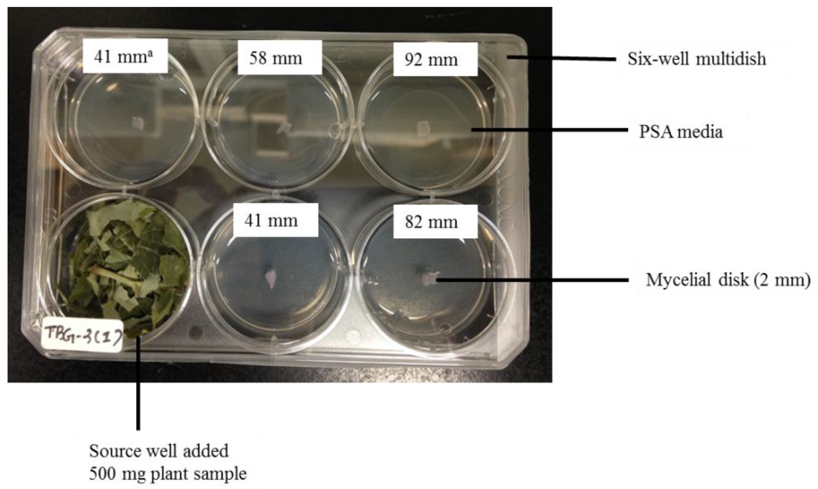 Sustainability 12 09334 g001