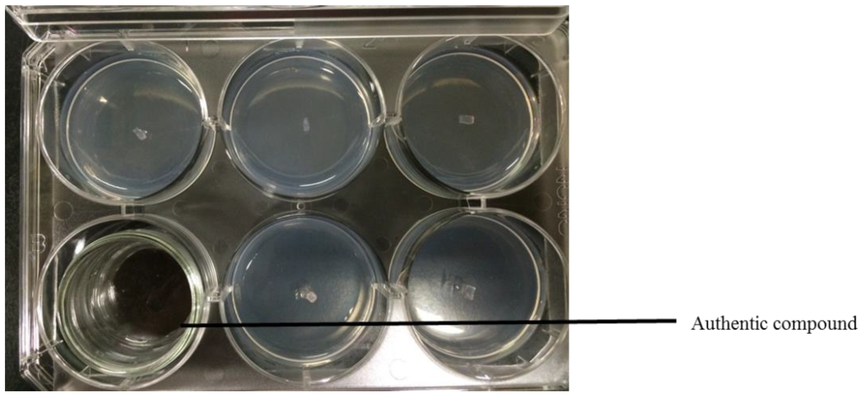 Sustainability 12 09334 g002