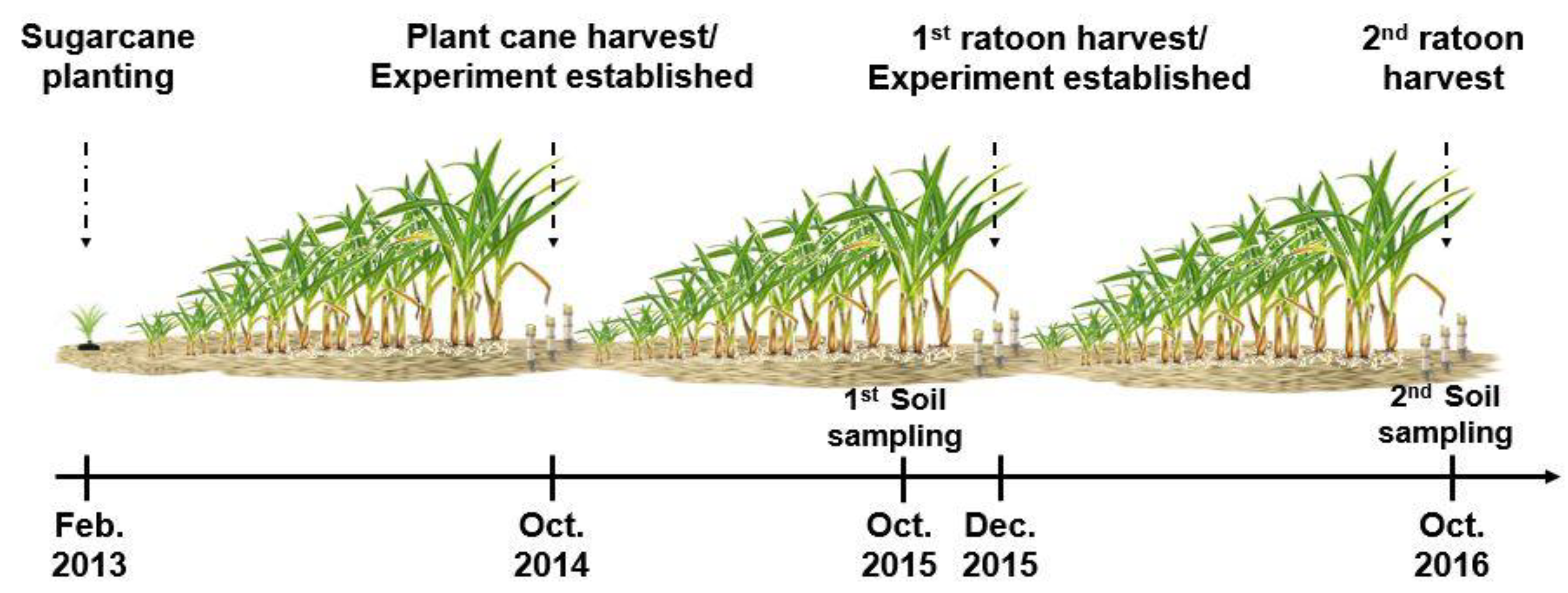 Sustainability 12 09363 g002