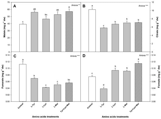 Sustainability Free Full Text Application Of Biostimulants Containing Amino Acids To Tomatoes Could Favor Sustainable Cultivation Implications For Tyrosine Lysine And Methionine Html