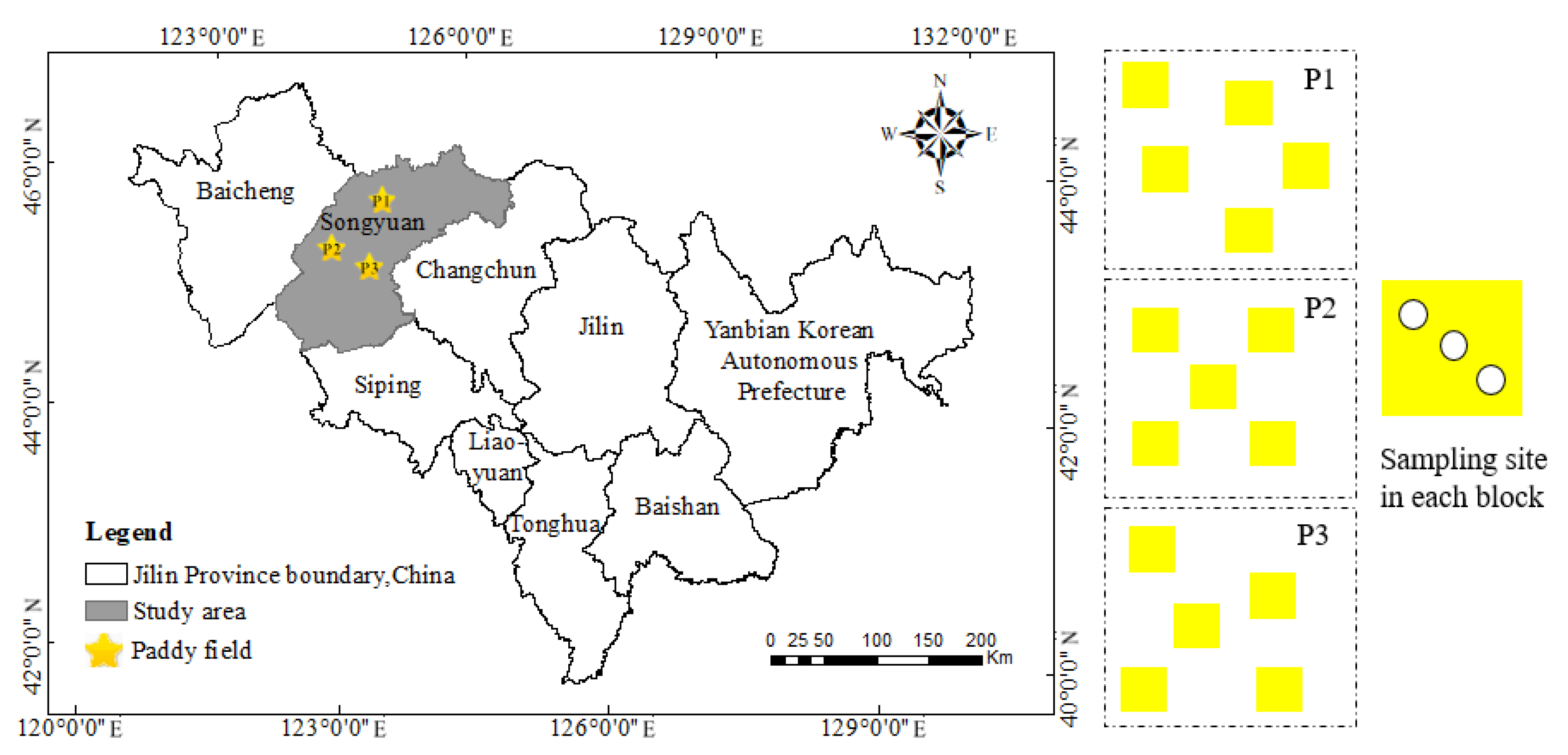 Sustainability 12 10095 g001