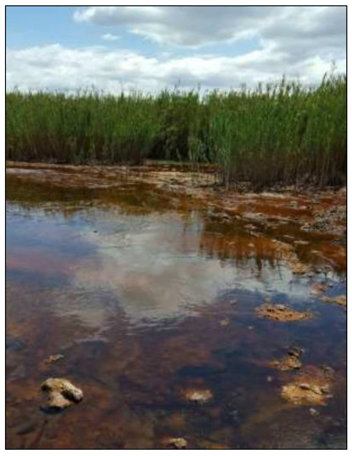 Sustainability 12 10244 g001