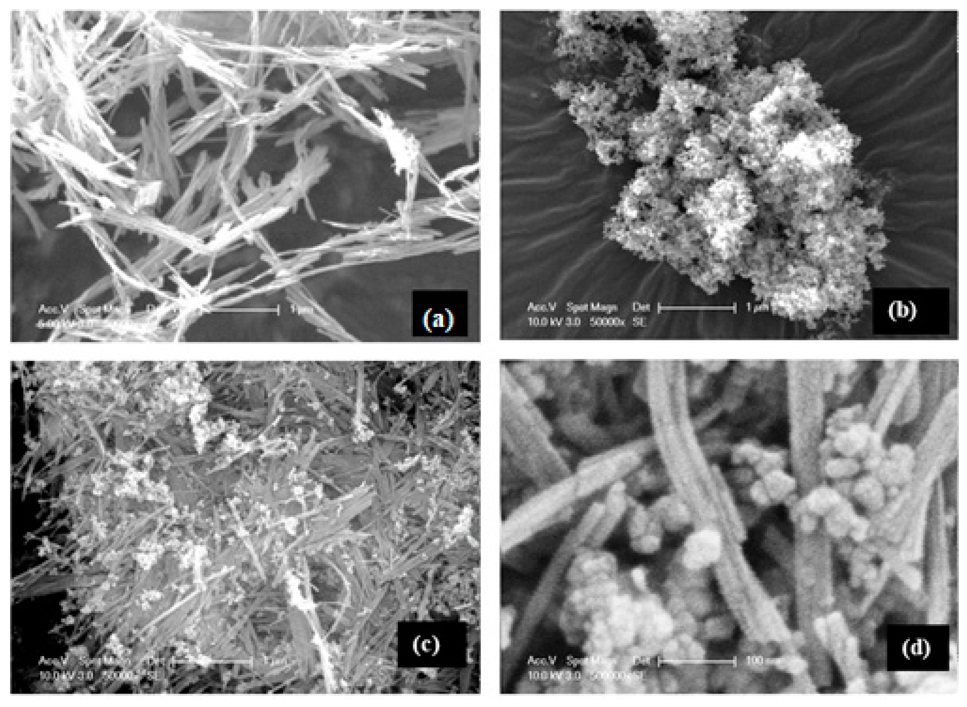 Sustainability 12 10314 g001