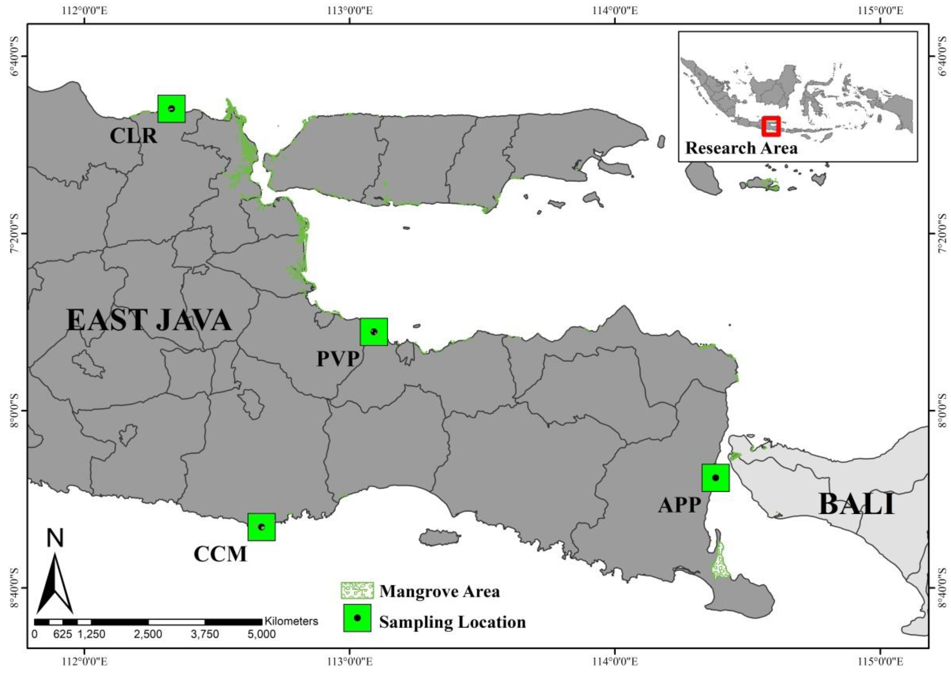 Sustainability Free Full Text Causes And Effects Of Mangrove Ecosystem Damage On Carbon Stocks And Absorption In East Java Indonesia Html