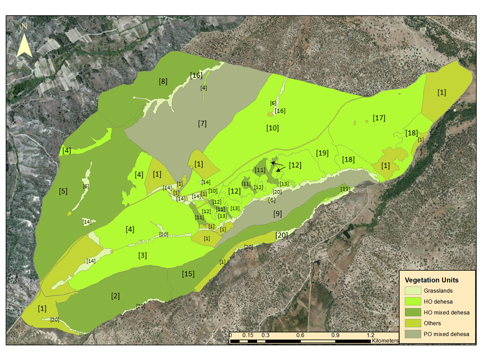 Sustainability 12 10442 g001 Sustainability 12 10442 g001