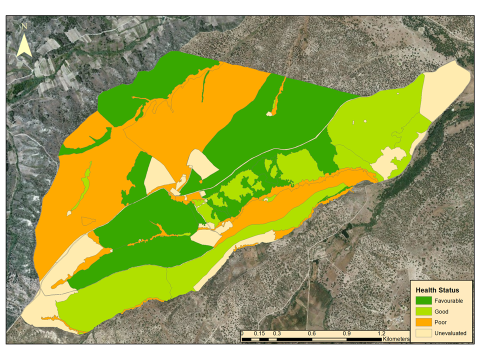 Sustainability 12 10442 g004 Sustainability 12 10442 g004