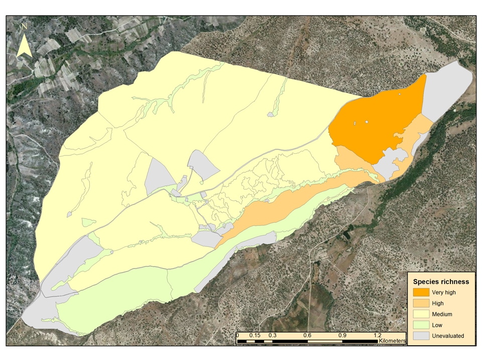 Sustainability 12 10442 g005 Sustainability 12 10442 g005
