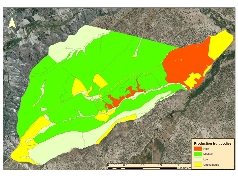 Sustainability 12 10442 g006 Sustainability 12 10442 g006