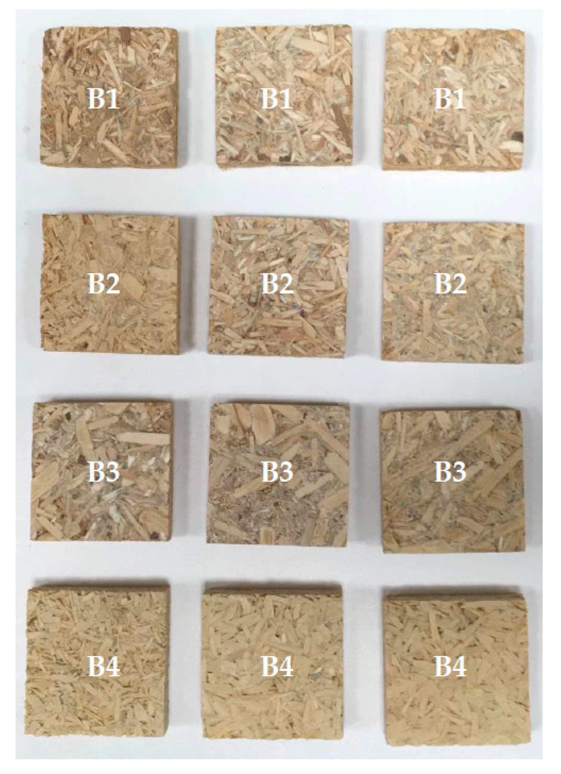 Sustainability 12 10469 g001