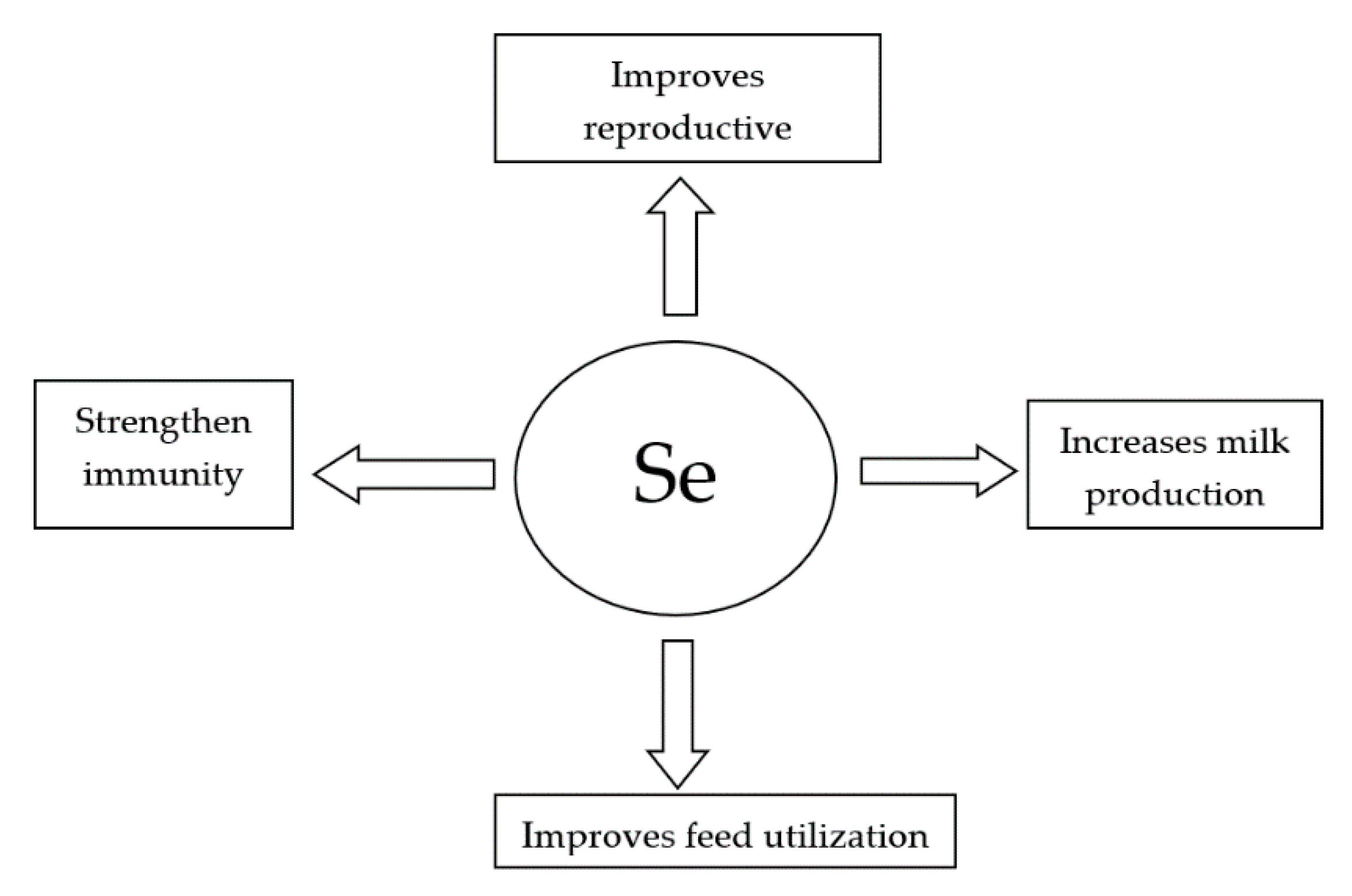 Sustainability 12 10693 g001 Sustainability 12 10693 g001
