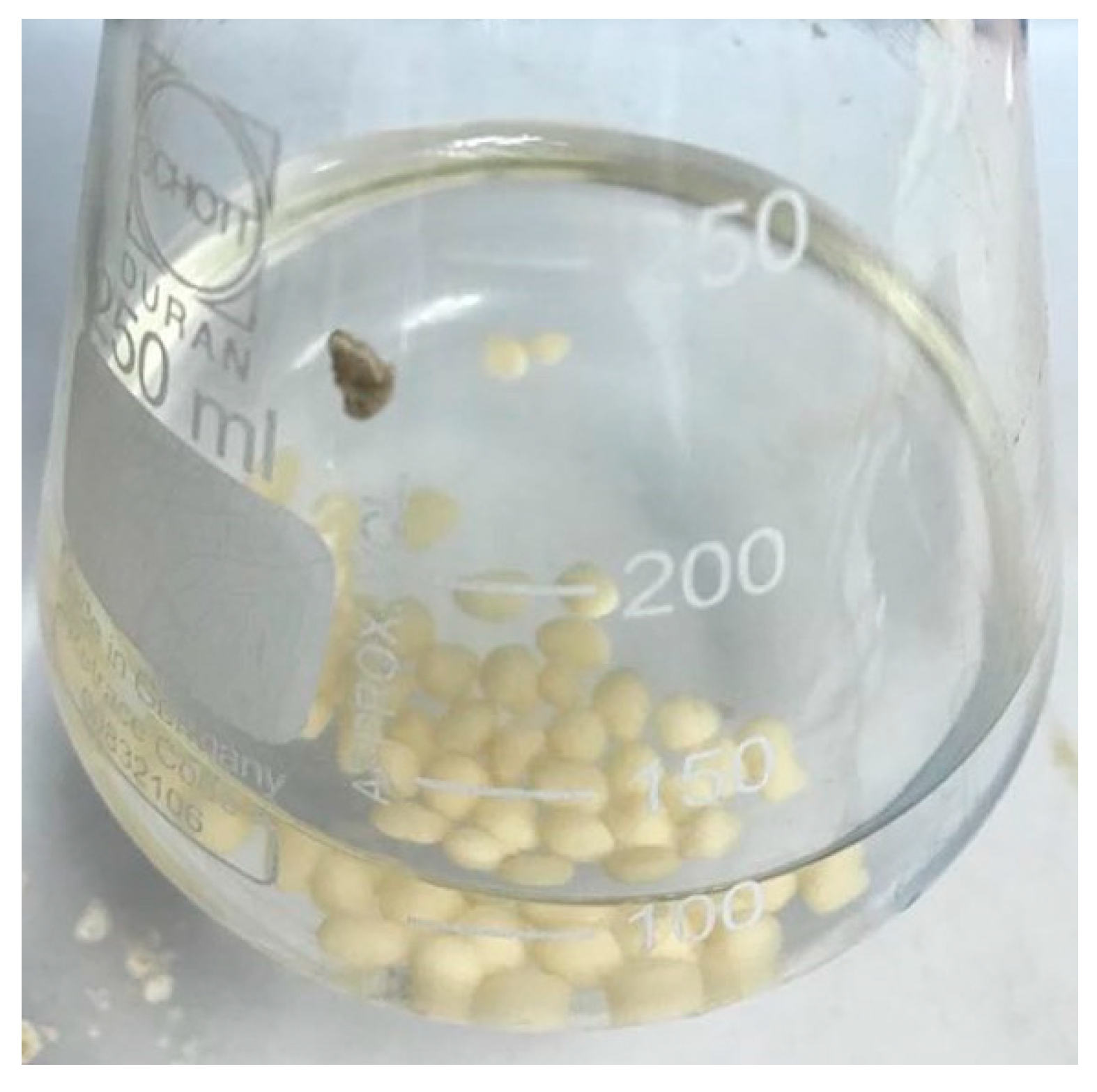 Sustainability 13 00036 g002 Sustainability 13 00036 g002