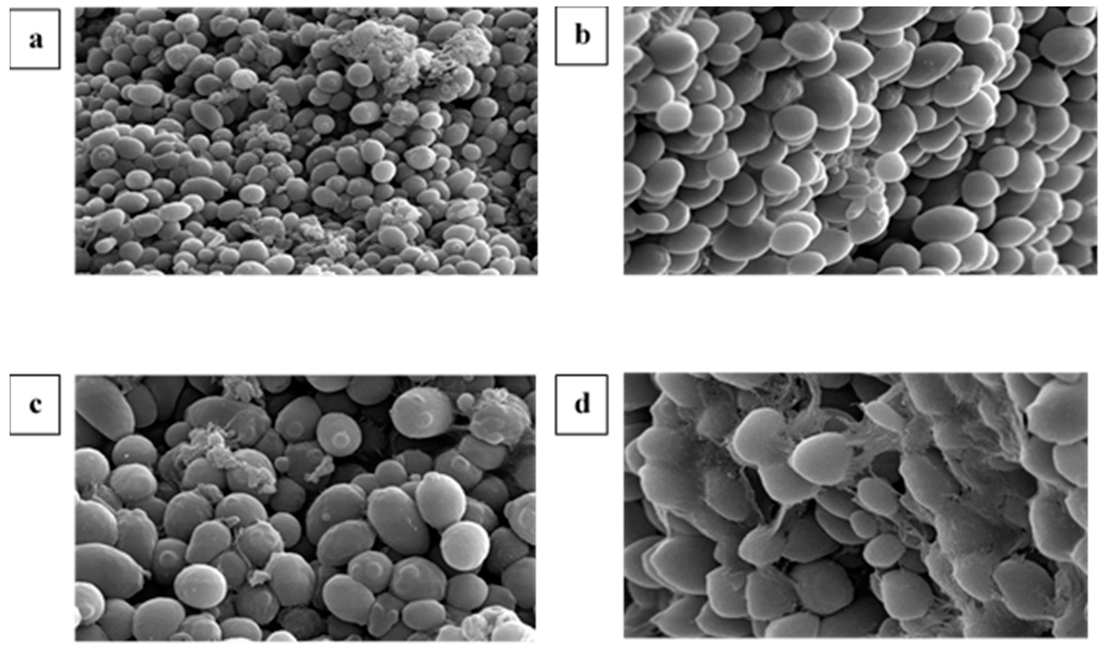 Sustainability 13 00036 g010 Sustainability 13 00036 g010