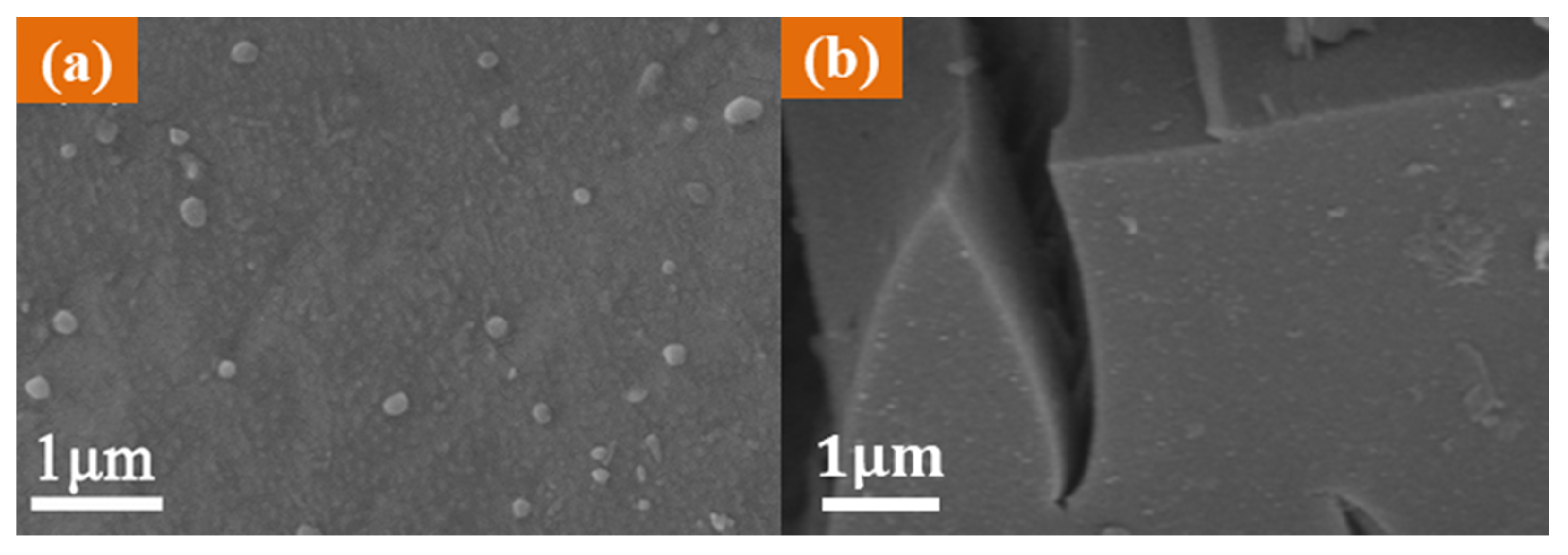 Sustainability 13 00126 g002