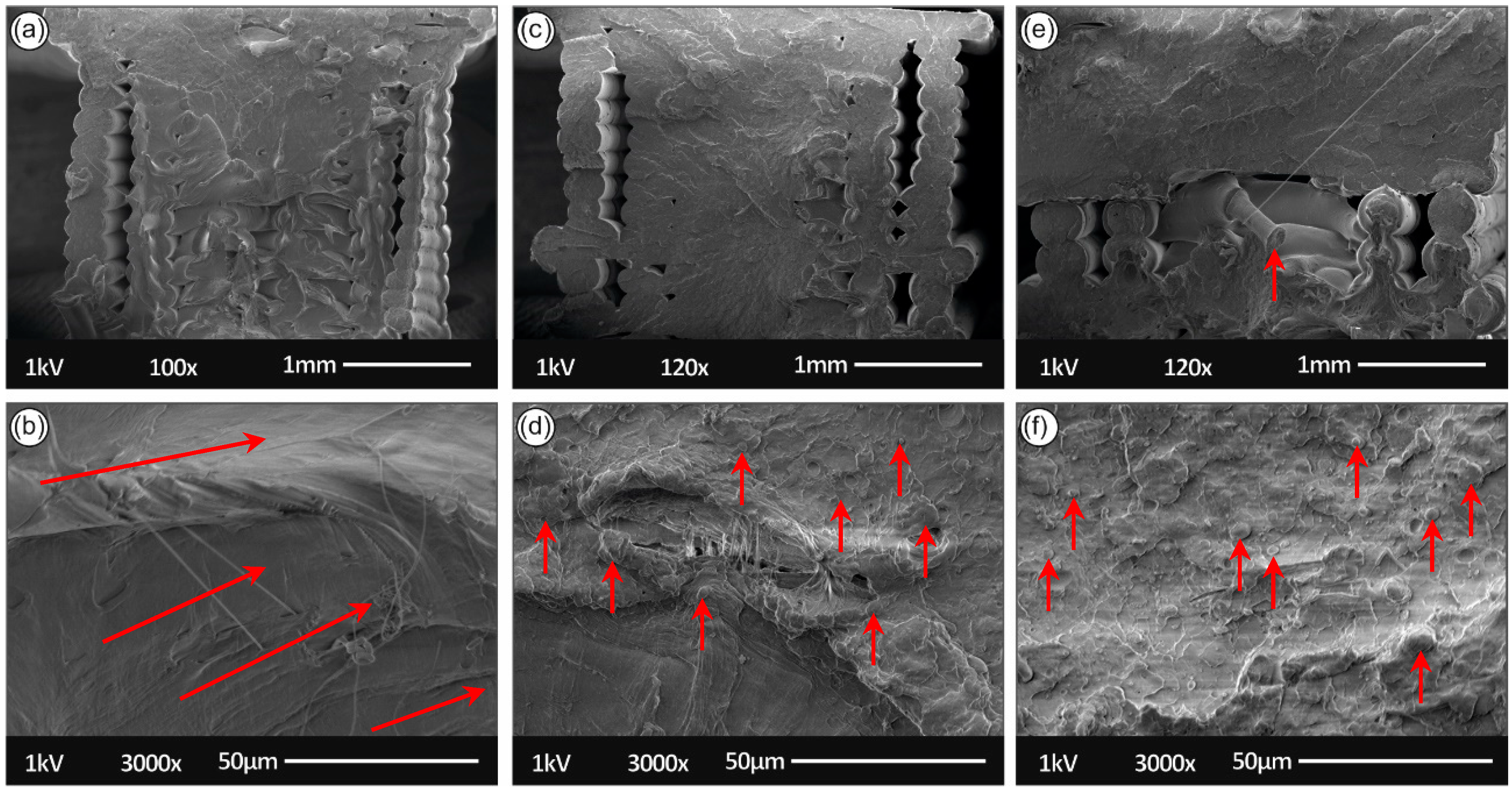 Sustainability 13 00159 g012 Sustainability 13 00159 g012