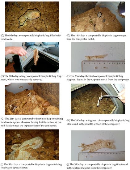 https://www.mdpi.com/sustainability/sustainability-13-00263/article_deploy/html/images/sustainability-13-00263-g007b-550.jpg