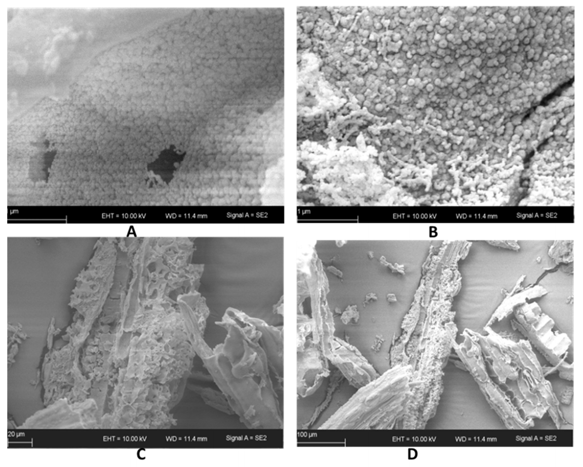 Sustainability 13 00577 g005