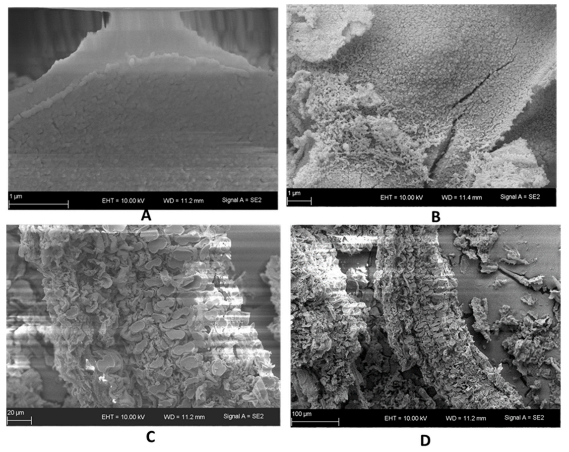 Sustainability 13 00577 g006