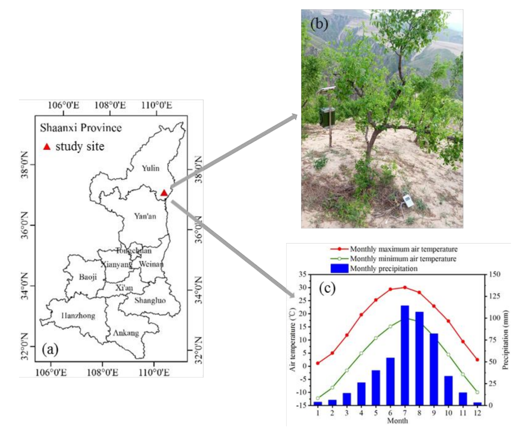 Sustainability 13 00610 g001 Sustainability 13 00610 g001