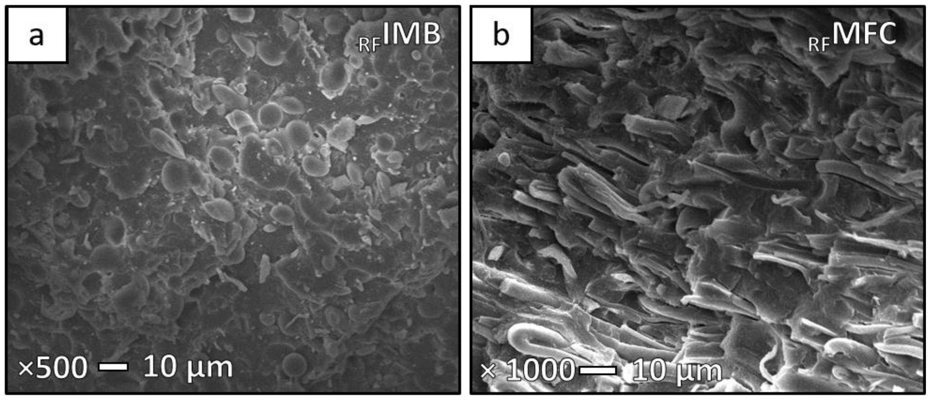 Sustainability 13 00689 g003