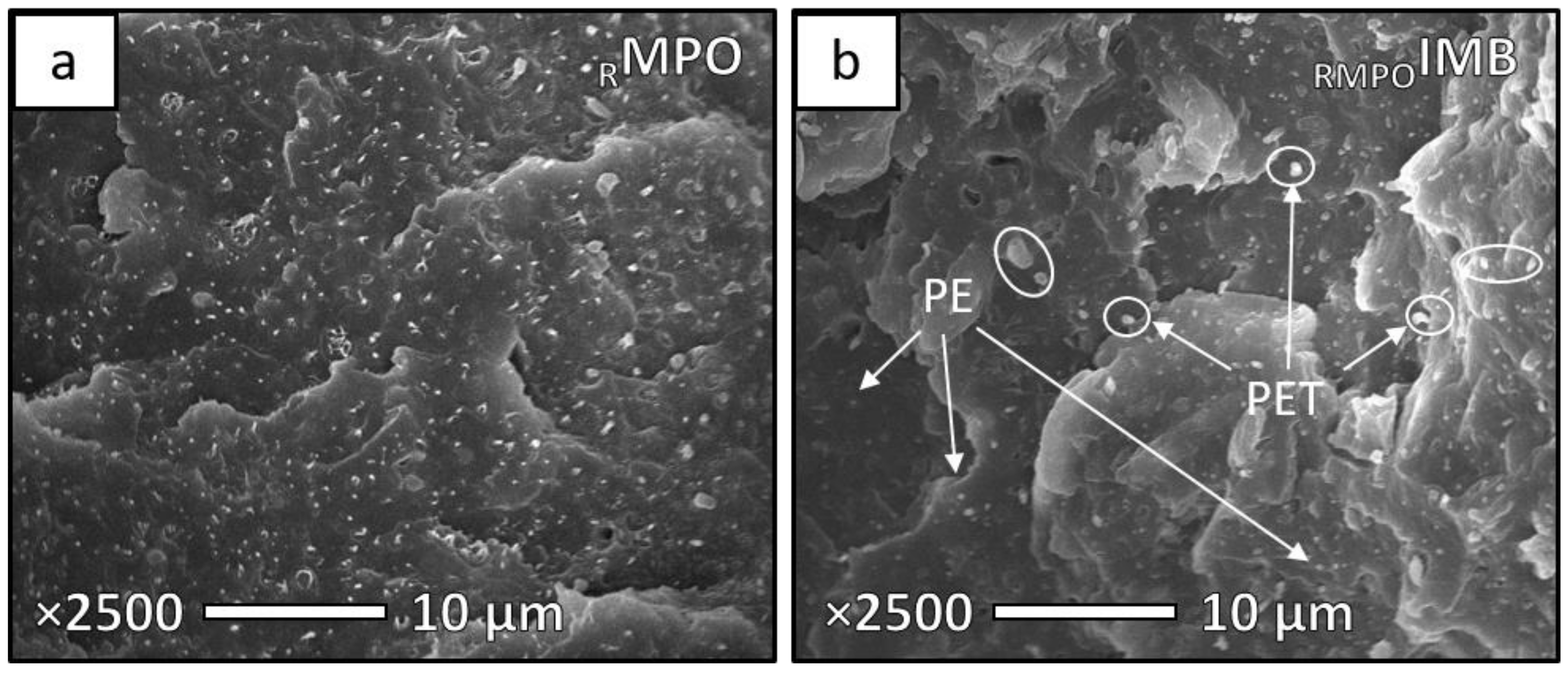 Sustainability 13 00689 g005