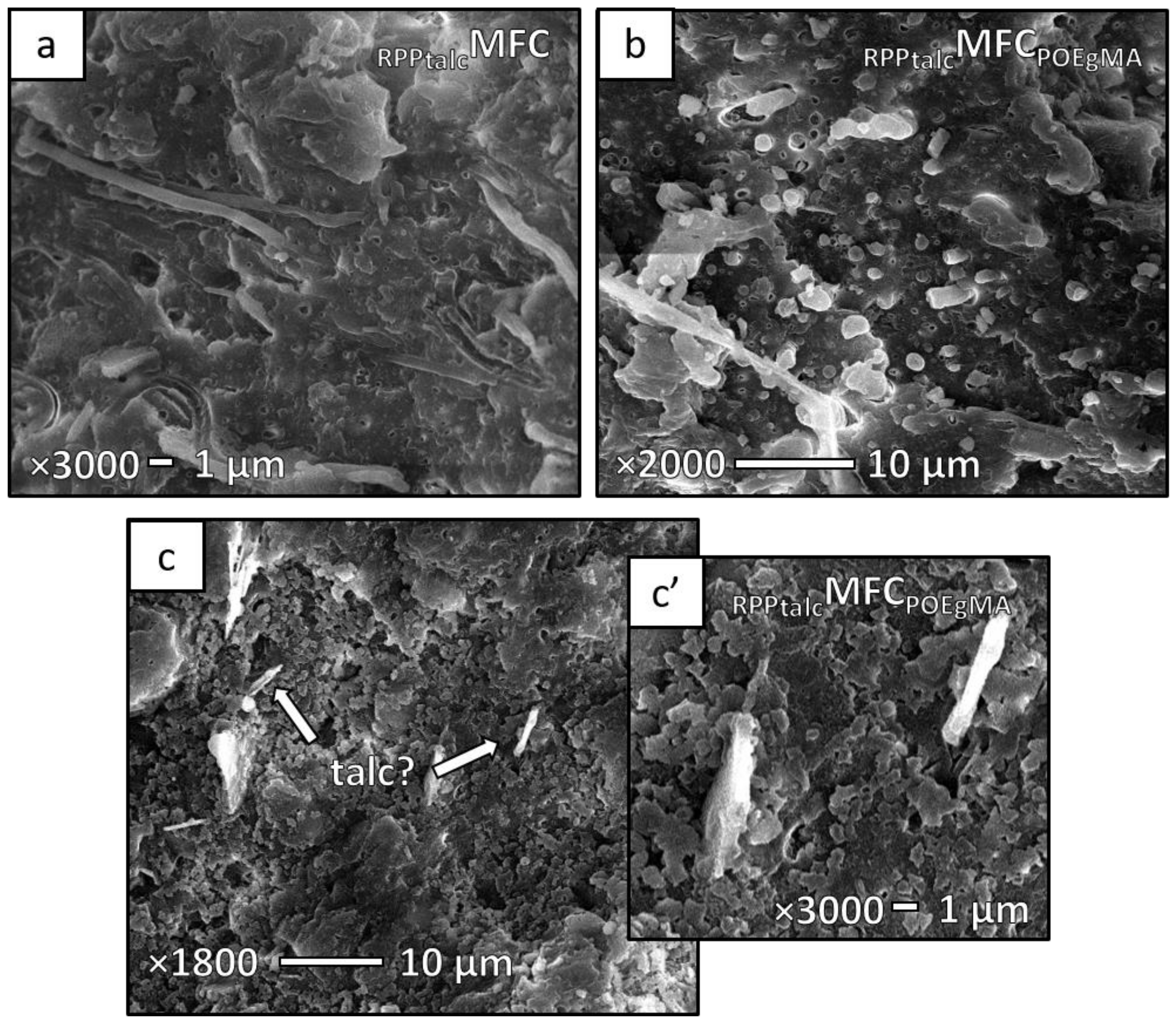 Sustainability 13 00689 g008