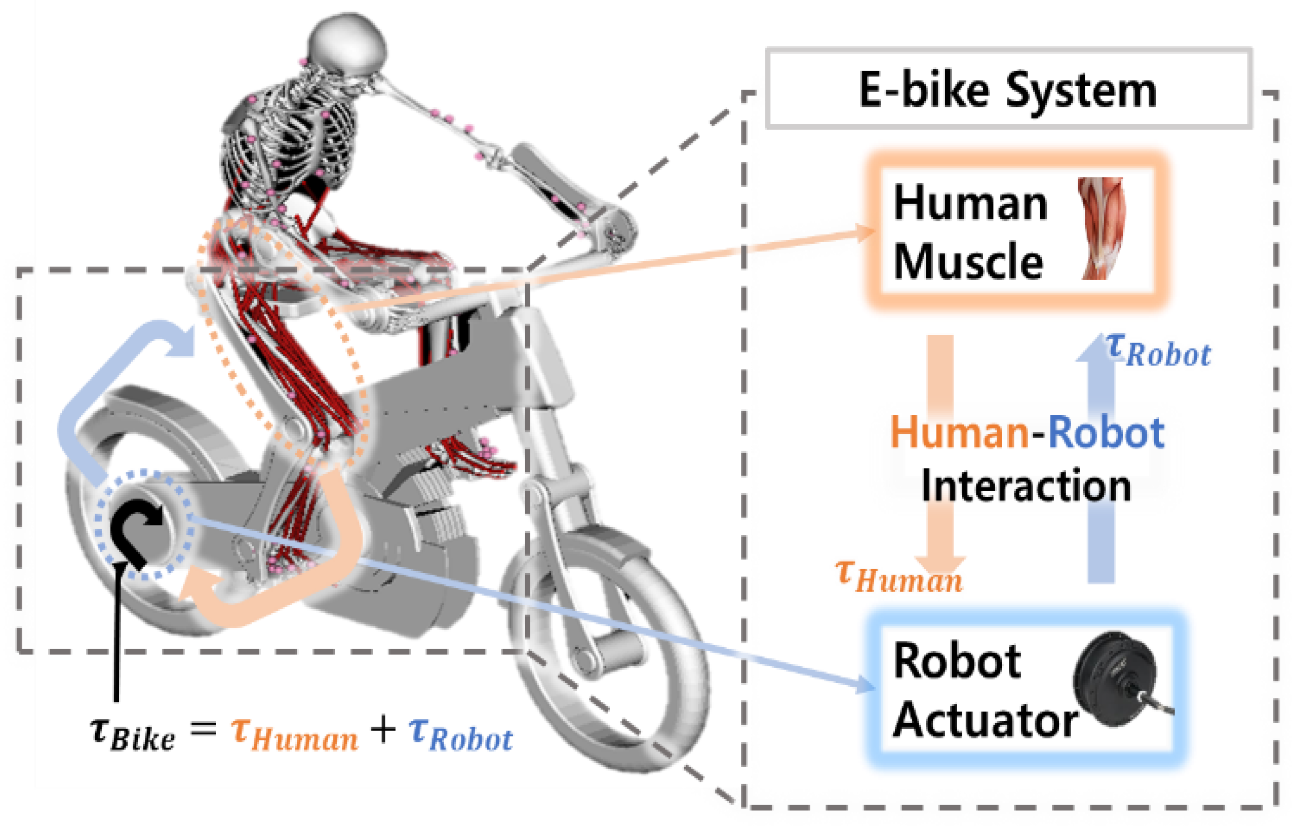 Sustainability | Free Full-Text | A Power Assistant Algorithm Based on  Human–Robot Interaction Analysis for Improving System Efficiency and Riding  Experience of E-Bikes