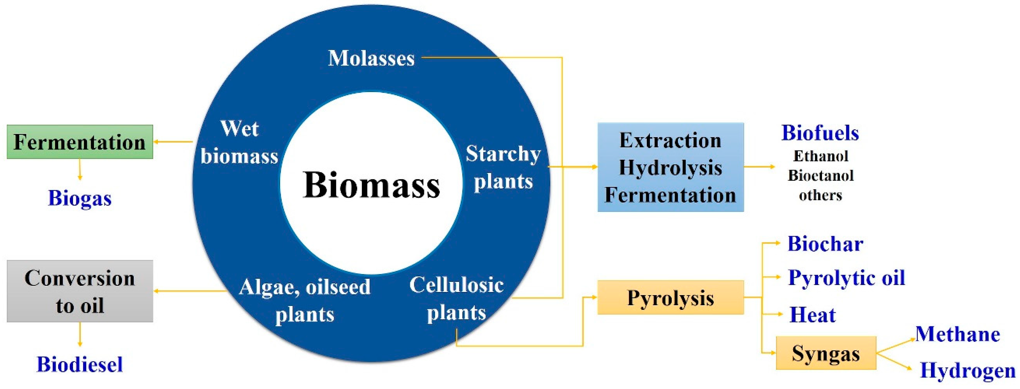 What is bioethanol? How is it made? Basic principle. Future fuel. Renewable  energy. 