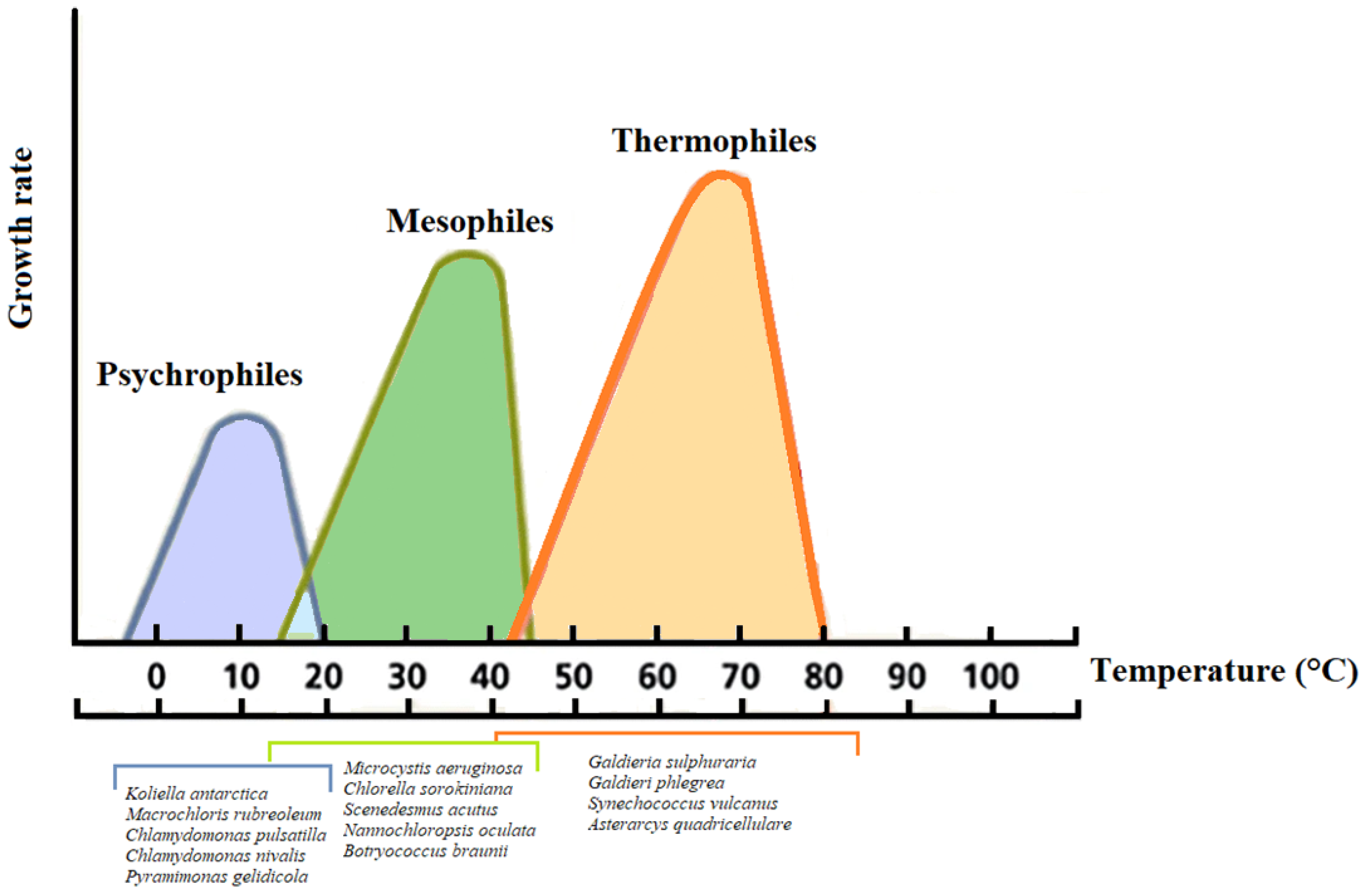 Sustainability 13 00956 g003 Sustainability 13 00956 g003